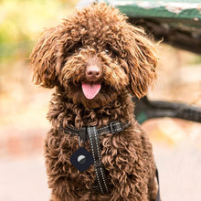 Load image into Gallery viewer, Apple AirTag Keychain Case Silicone Protective Anti-Lost Sleeve Cover (Random Color) - pack of 4