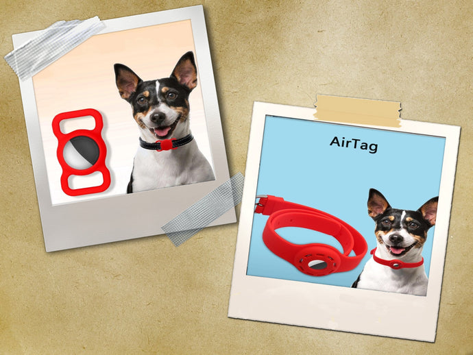 AirTag for Dogs: Is this the Best Way to Track Your Pets
