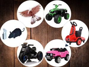 Top 6 Best Remote Control Cars for Kids and Adults