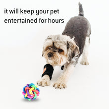 Load image into Gallery viewer, Pet Toy Ball Rainbow Weave Style