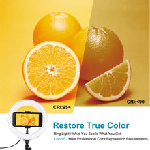 Load image into Gallery viewer, USB 3 Modes Dimmable Dual Color Temperature LED + 7.9 inch 20cm Ring Curved Light with Phone Clamp